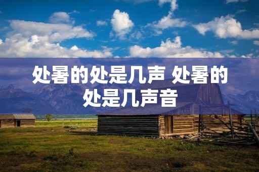 处暑的处是几声 处暑的处是几声音 处暑的处是几声 处暑的处是几声音
