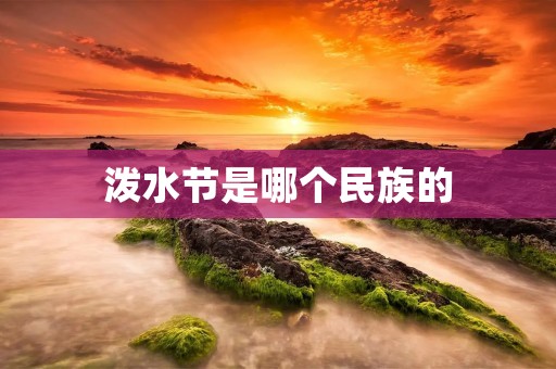泼水节是哪个民族的 泼水节是哪个民族的