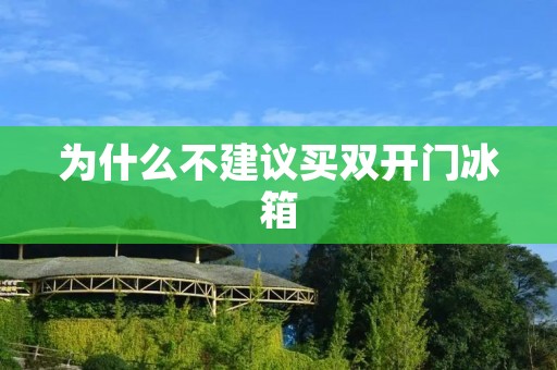 为什么不建议买**门冰箱