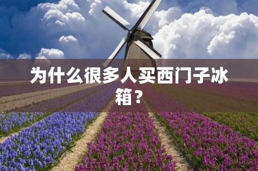 为什么很多人买西门子冰箱? 为什么很多人买西门子冰箱?