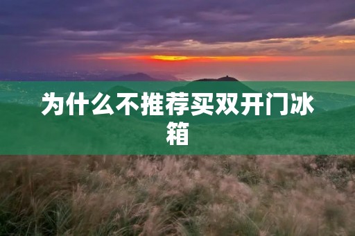 为什么不推荐买**门冰箱 为什么不推荐买**门冰箱