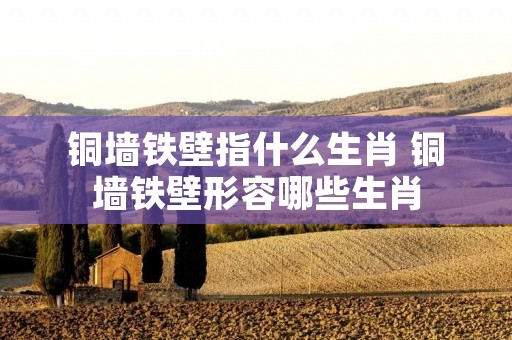 铜墙铁壁指什么生肖 铜墙铁壁形容哪些生肖 铜墙铁壁指什么生肖 铜墙铁壁形容哪些生肖