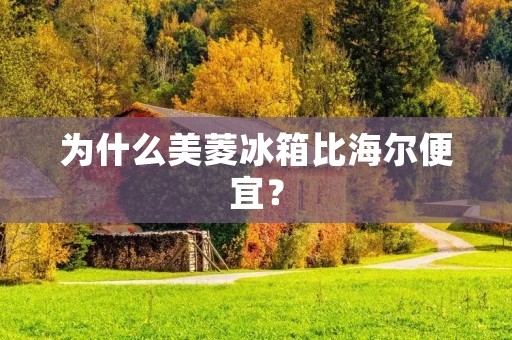 为什么美菱冰箱比海尔便宜? 为什么美菱冰箱比海尔便宜?