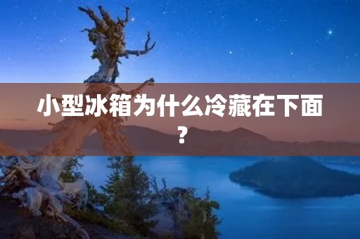 小型冰箱为什么冷藏在下面? 小型冰箱为什么冷藏在下面?