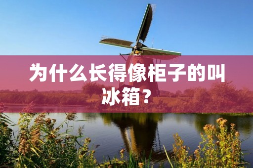 为什么长得像柜子的叫冰箱？