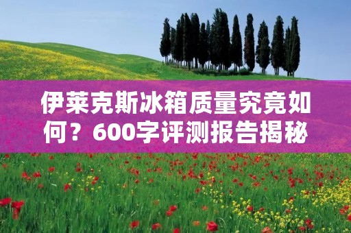 伊莱克斯冰箱质量究竟如何？600字评测报告揭秘