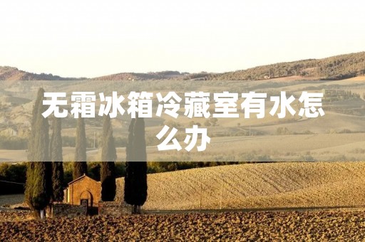 无霜冰箱冷藏室有水怎么办 无霜冰箱冷藏室有水怎么办