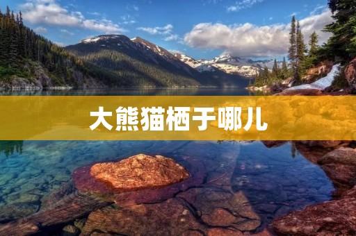大熊猫栖于哪儿