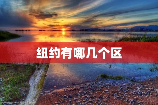 纽约有哪几个区 纽约有哪几个区