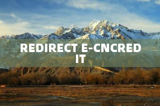 REDIRECT E-CNCREDIT：开展电子商务信用建设的重要举措