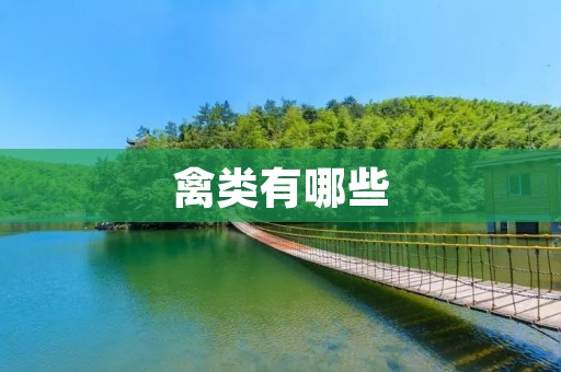 禽类有哪些