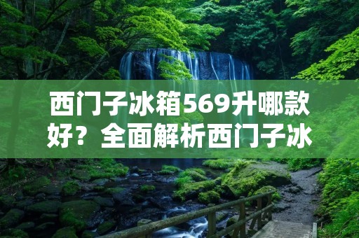 西门子冰箱569升哪款好?全面解析西门子冰箱569升的优势与劣势 西门子冰箱569升哪款好?全面解析西门子冰箱569升的优势与劣势