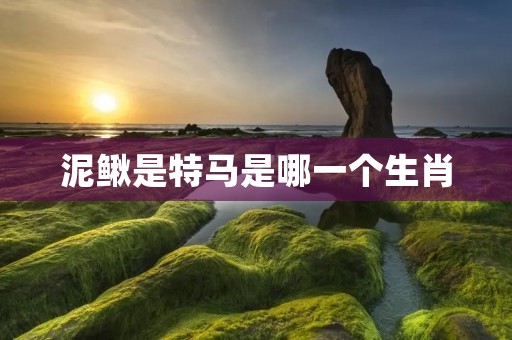 泥鳅是特马是哪一个生肖 泥鳅是特马是哪一个生肖
