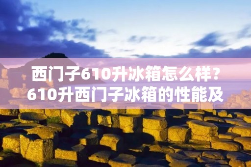 西门子610升冰箱怎么样?610升西门子冰箱的性能及特点详解 西门子610升冰箱怎么样?610升西门子冰箱的性能及特点详解