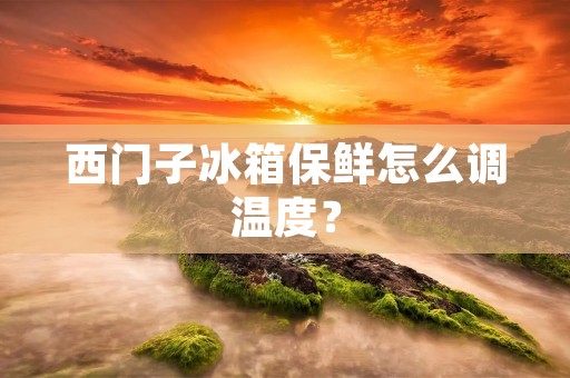 西门子冰箱保鲜怎么调温度？