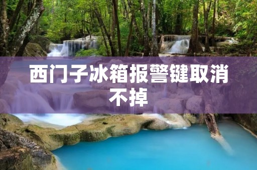 西门子冰箱报警键取消不掉:如何解决这一问题