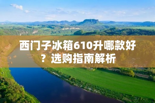 西门子冰箱610升哪款好？选购指南解析