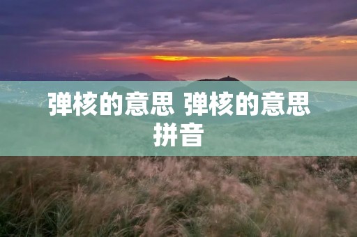 弹核的意思 弹核的意思拼音