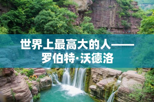 世界上最高大的人——罗伯特·沃德洛