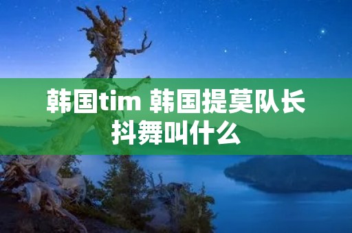 韩国tim 韩国提莫队长抖舞叫什么 韩国tim 韩国提莫队长抖舞叫什么