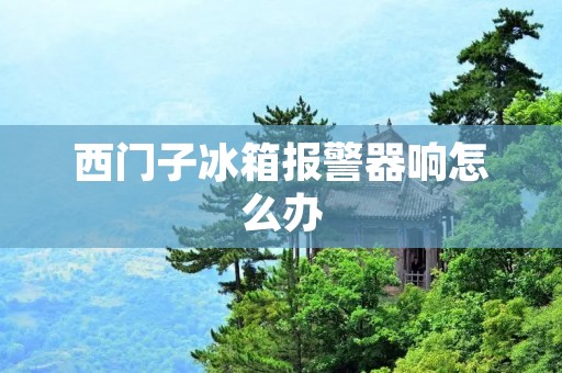 西门子冰箱报警器响怎么办 西门子冰箱报警器响怎么办