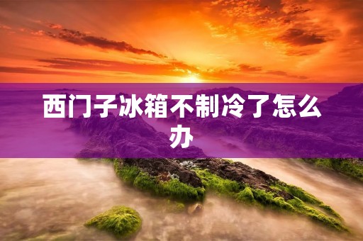 西门子冰箱不制冷了怎么办:解决方法及维修建议 西门子冰箱不制冷了怎么办:解决方法及维修建议