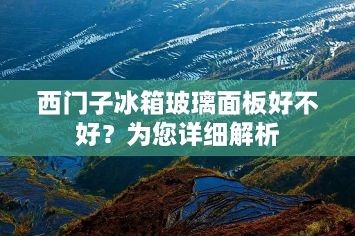 西门子冰箱玻璃面板好不好?为您详细解析 西门子冰箱玻璃面板好不好?为您详细解析
