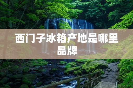 西门子冰箱产地是哪里品牌 西门子冰箱产地是哪里品牌