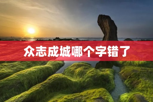 众志成城哪个字错了 众志成城哪个字错了