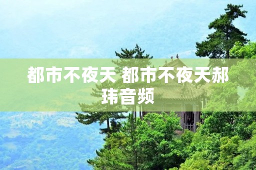 都市不夜天 都市不夜天郝玮音频