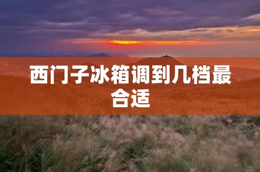 西门子冰箱调到几档最合适:如何根据食物类型选择合适的温度档位? 西门子冰箱调到几档最合适:如何根据食物类型选择合适的温度档位?