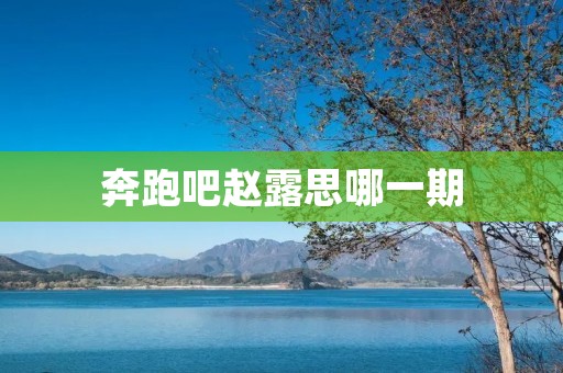 奔跑吧赵露思哪一期