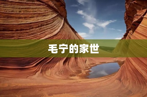 毛宁的家世:探寻毛宁背后的家族传承与历史渊源 毛宁的家世:探寻毛宁背后的家族传承与历史渊源