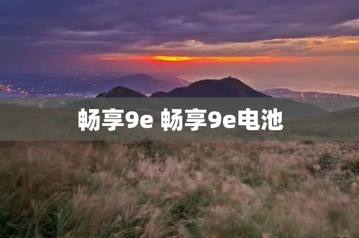 畅享9e 畅享9e电池 畅享9e 畅享9e电池