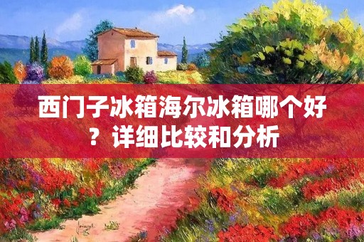 西门子冰箱海尔冰箱哪个好?详细比较和分析 西门子冰箱海尔冰箱哪个好?详细比较和分析