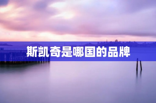斯凯奇是哪国的品牌