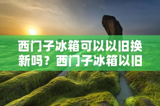 西门子冰箱可以以旧换新吗?西门子冰箱以旧换新政策详解 西门子冰箱可以以旧换新吗?西门子冰箱以旧换新政策详解