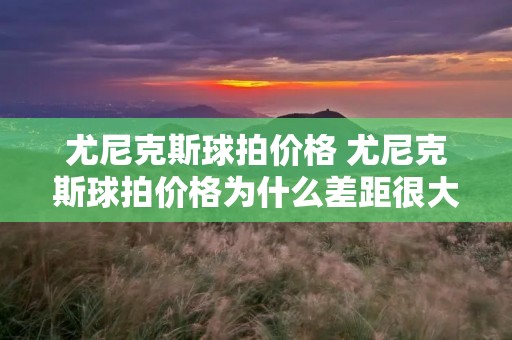 尤尼克斯球拍价格 尤尼克斯球拍价格为什么差距很大
