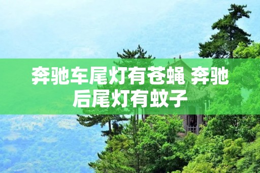 奔驰车尾灯有苍蝇 奔驰后尾灯有蚊子 奔驰车尾灯有苍蝇 奔驰后尾灯有蚊子