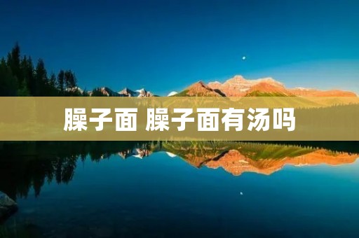 臊子面 臊子面有汤吗