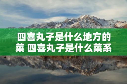四喜丸子是什么地方的菜 四喜丸子是什么菜系