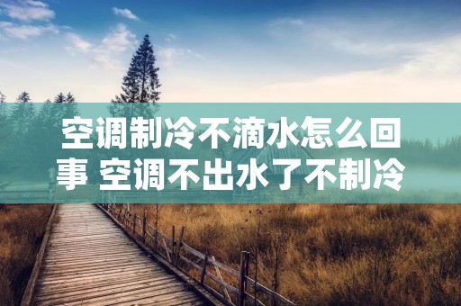 空调制冷不滴水怎么回事 空调不出水了不制冷是怎么回事儿