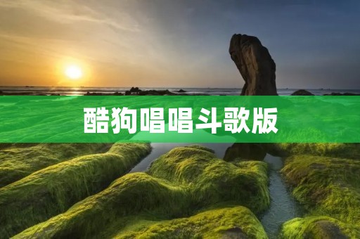 酷狗唱唱斗歌版：音乐竞技新体验