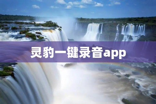 灵豹一键录音app：让录音变得更简单高效！