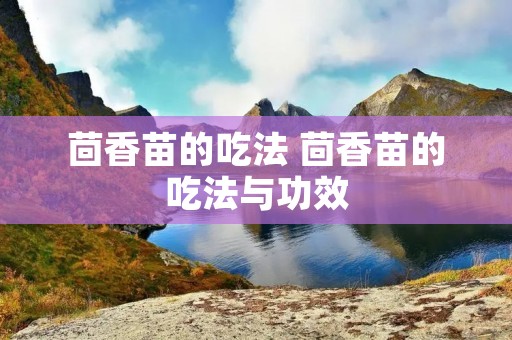 茴香苗的吃法 茴香苗的吃法与功效