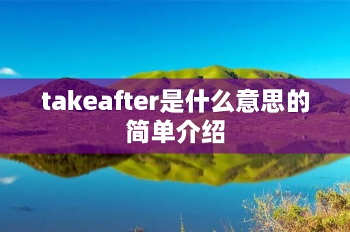 takeafter是什么意思的简单介绍 takeafter是什么意思的简单介绍