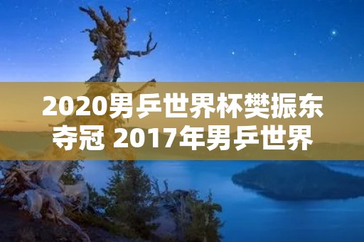 2020男乒世界杯樊振东夺冠 2017年男乒世界杯