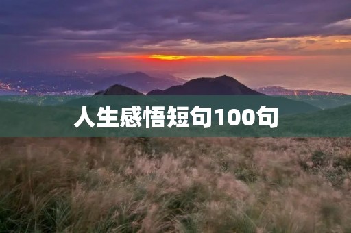 人生感悟短句100句:用简洁的语言诠释人生哲理