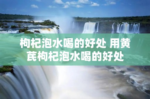 枸杞泡水喝的好处 用黄芪枸杞泡水喝的好处