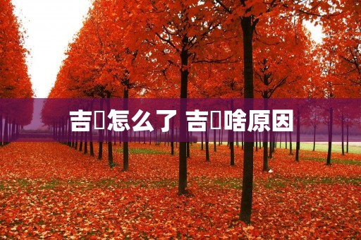 吉喆怎么了 吉喆啥原因